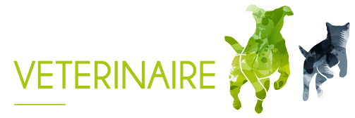 Cliniques vétérinaires de Sologne Logo